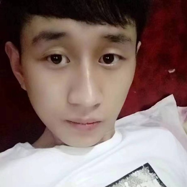 鸭子停止舒心的照片