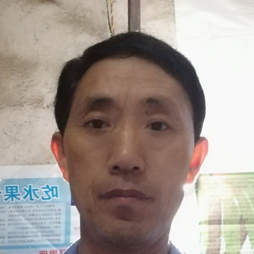 西牛漫步朴实的照片