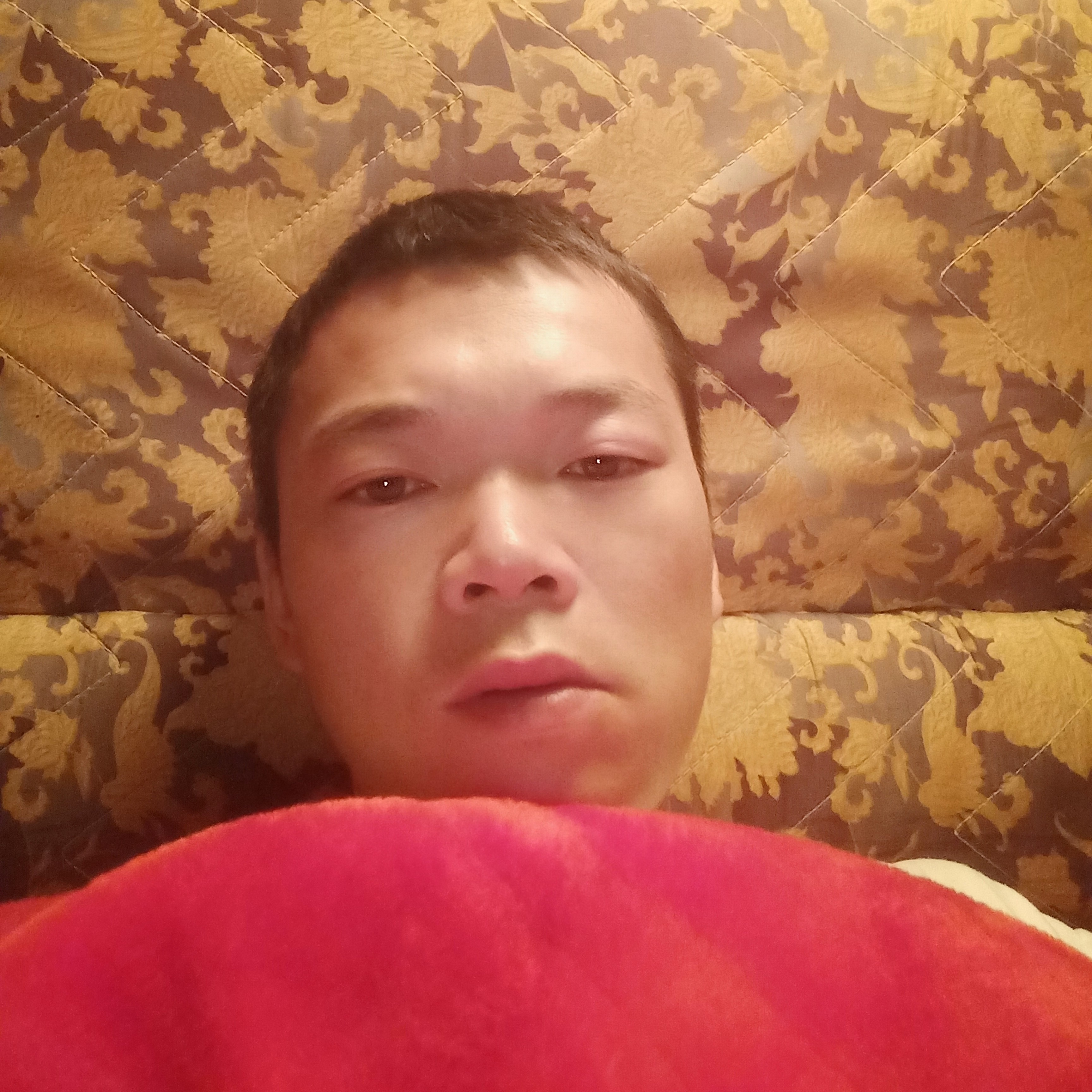 灵巧倾心樱桃的照片