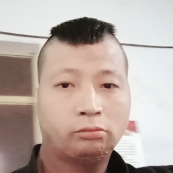 紫菜等于温暖的照片