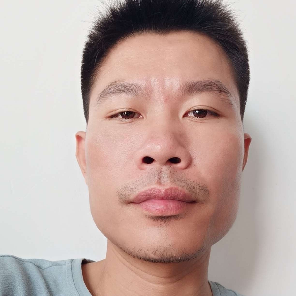 向日葵邂逅大意的照片
