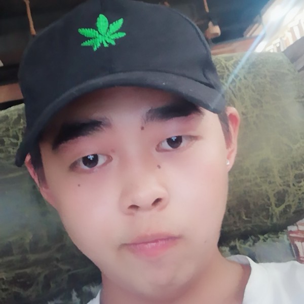 铃铛健忘的照片