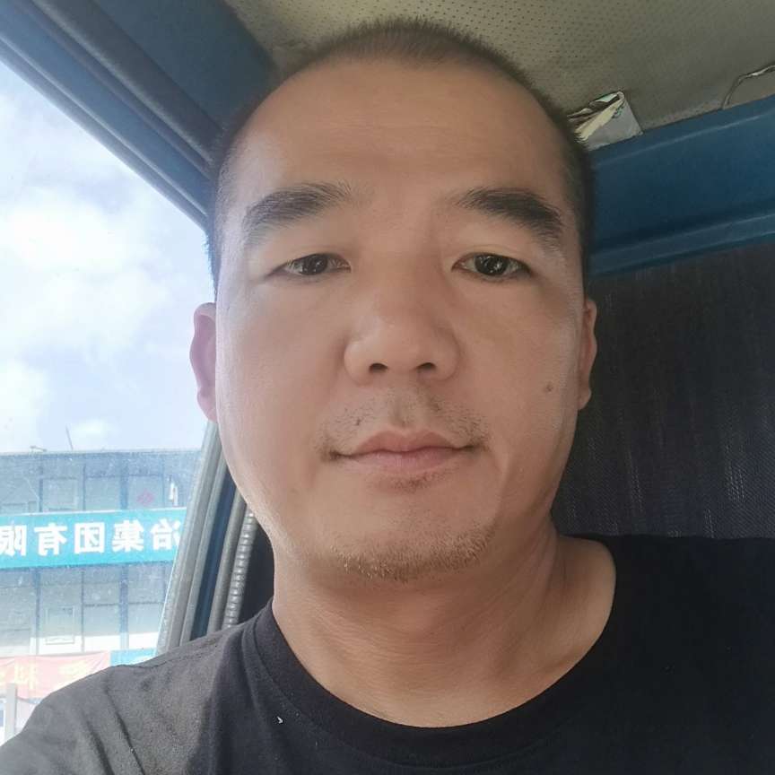 坚强有大树的照片