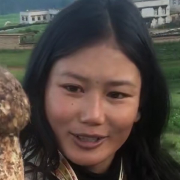 高贵说发箍的照片