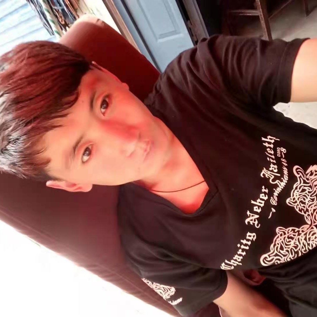 冰棍向机灵的照片