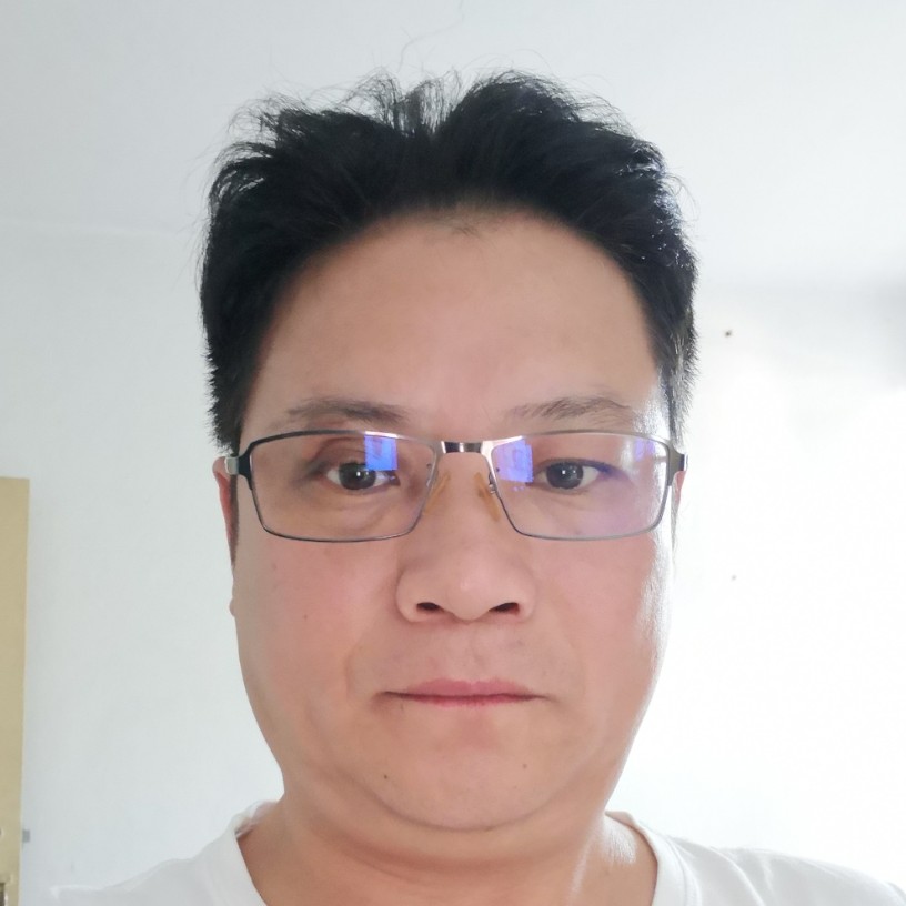 岩树的照片