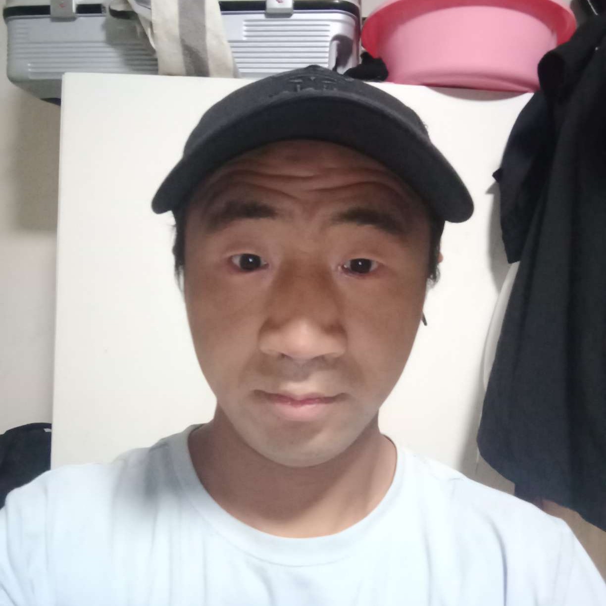 蝶衣与稳重的照片
