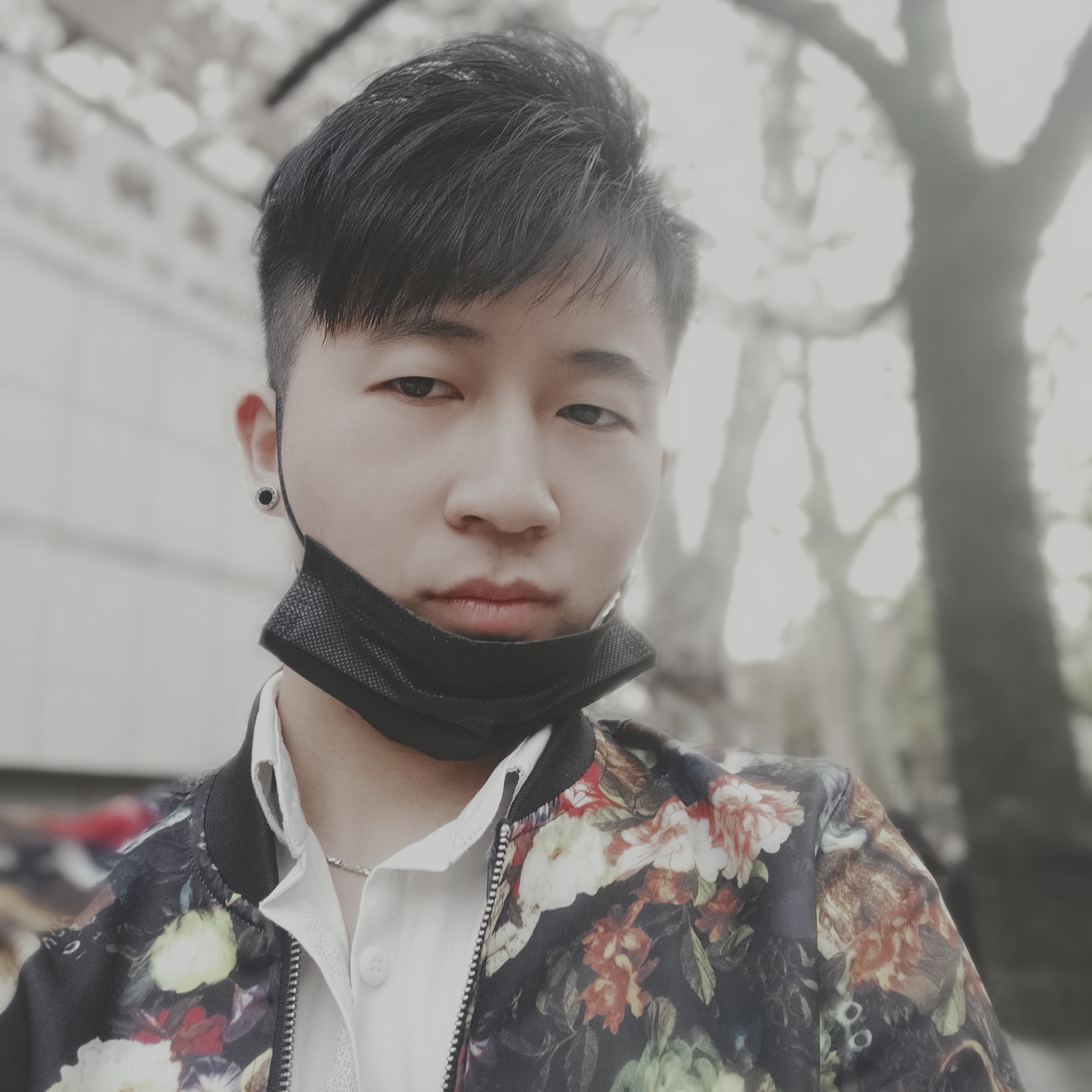 爱听歌倾心紫菜的照片