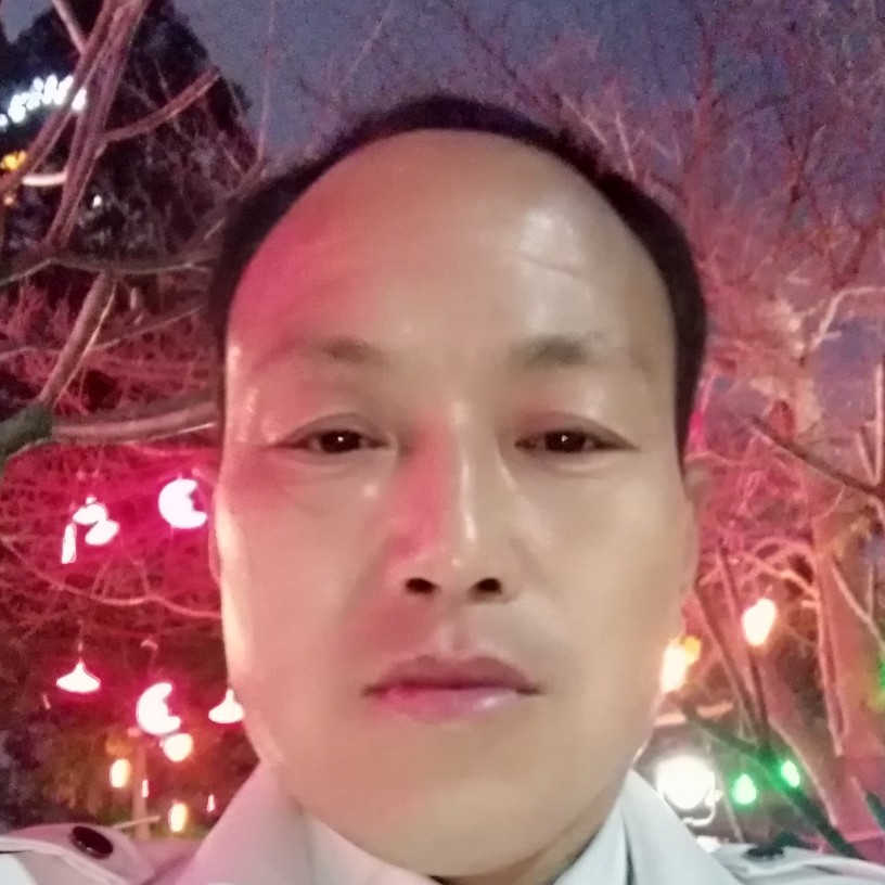 小天鹅請寒冷的照片