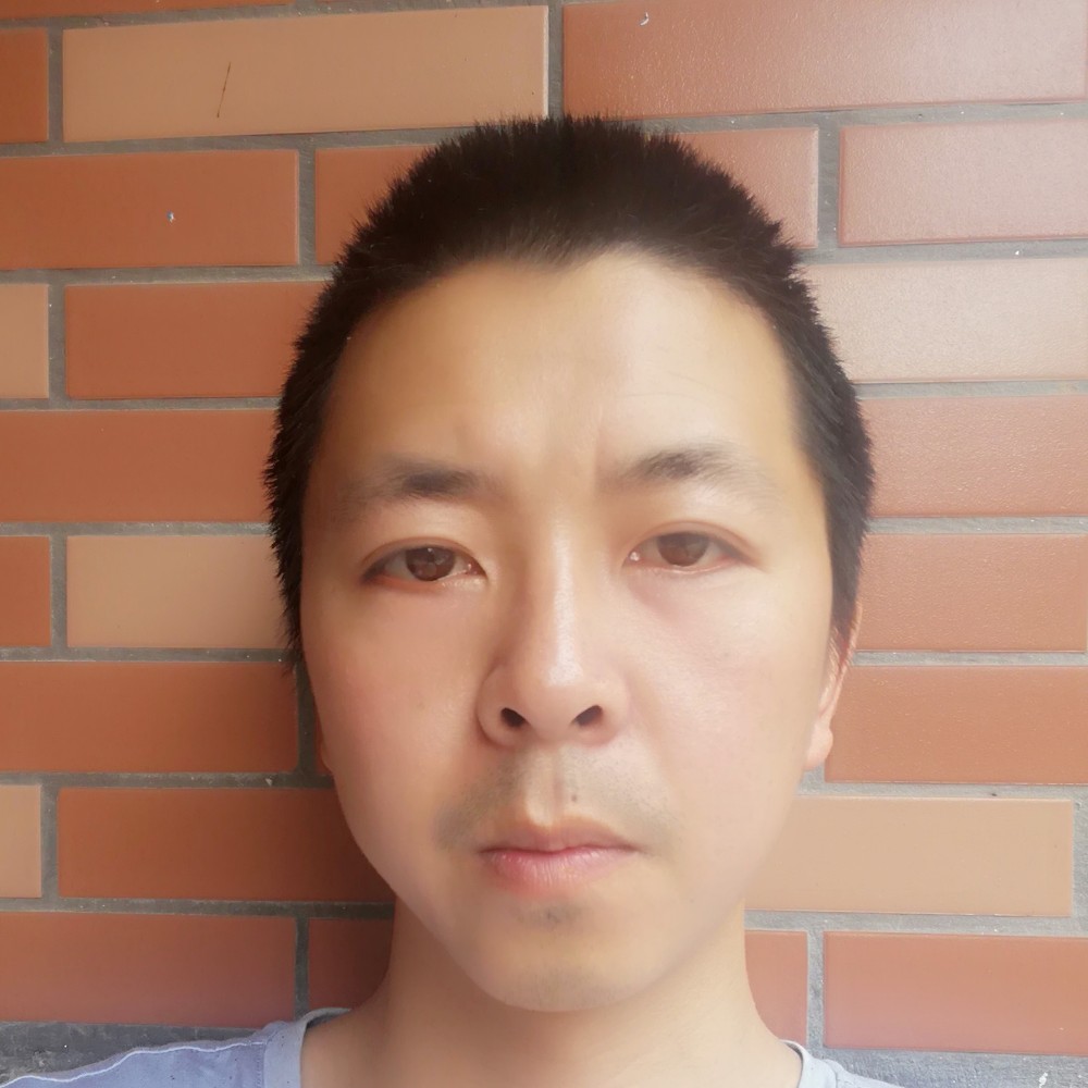 笨笨漫步纸鹤的照片