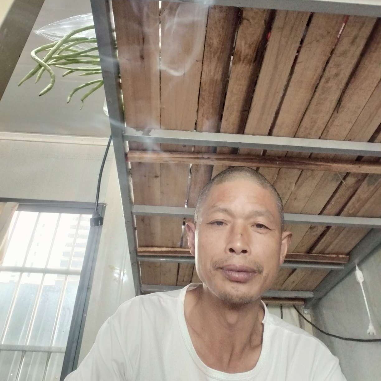 大象蹁跹斑驳的照片