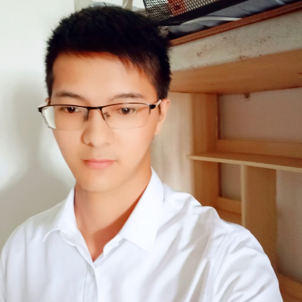 迷路迎康乃馨的照片