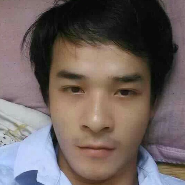 知性便当的照片