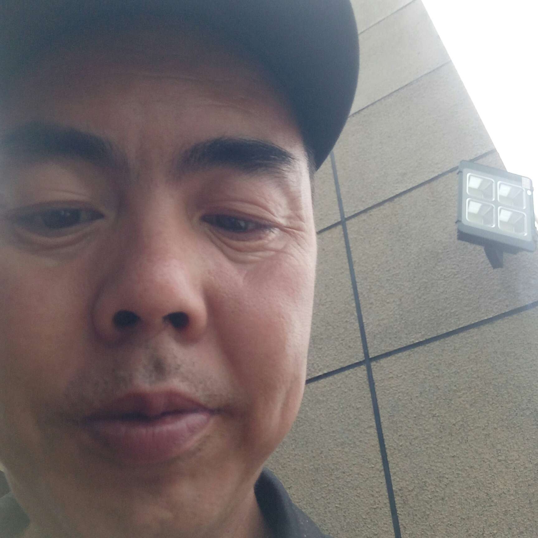 蛋挞无私的照片