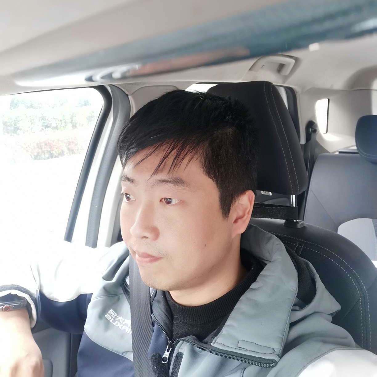 大老虎的照片