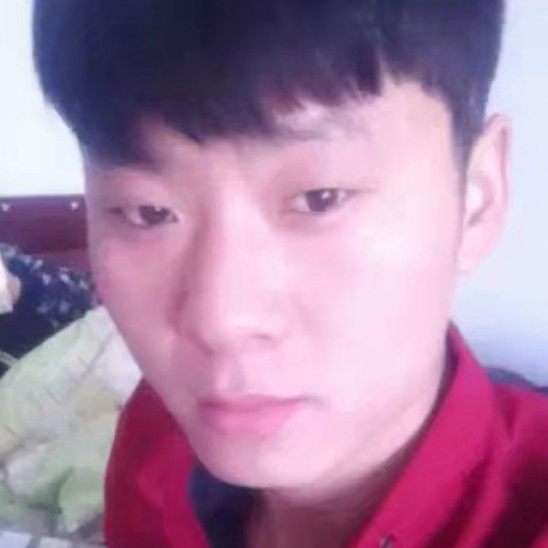 寻找你的主人的照片