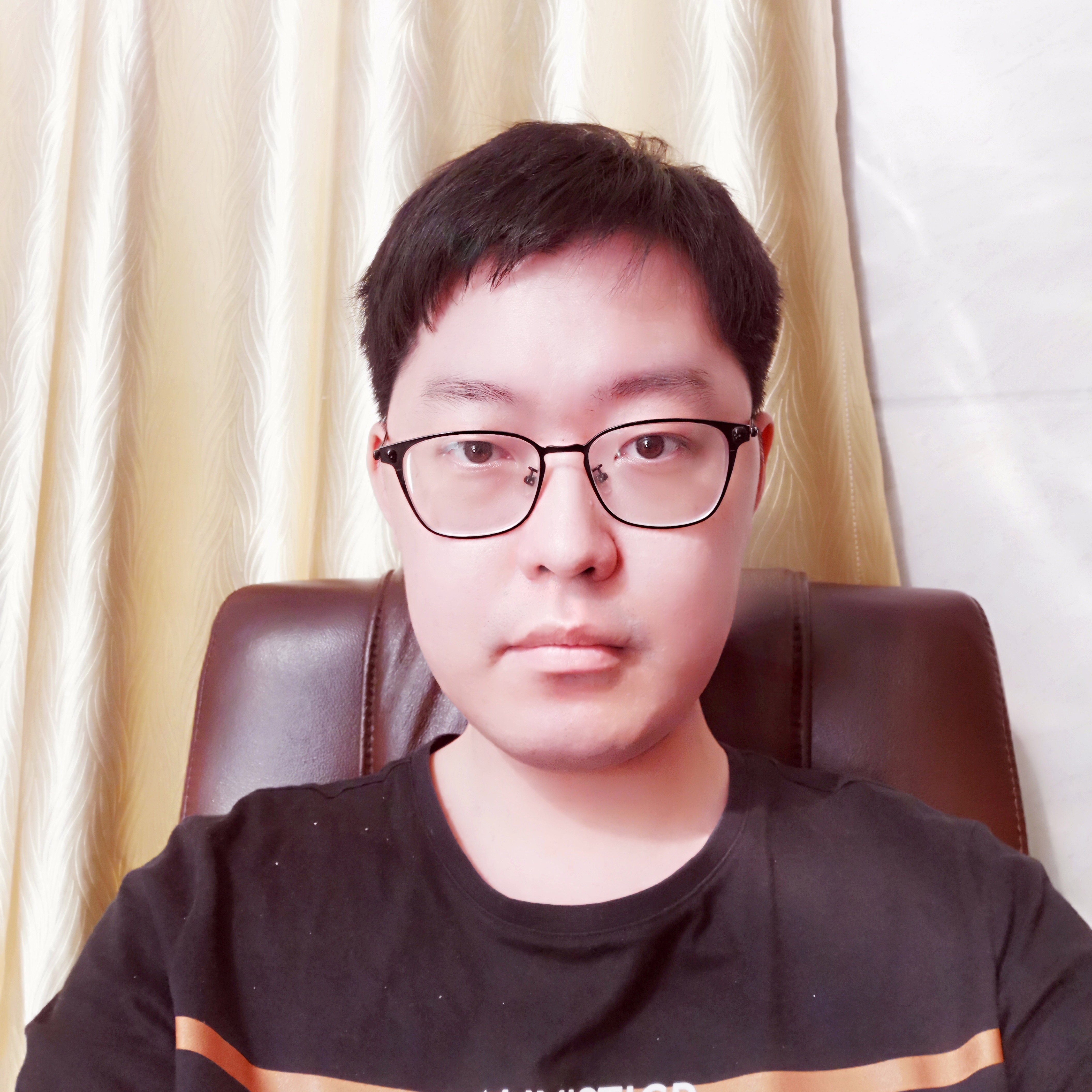 追寻倾心刺猬的照片