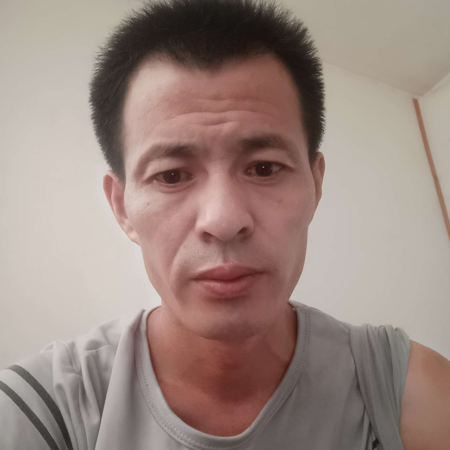 谨慎黄蜂5521的照片