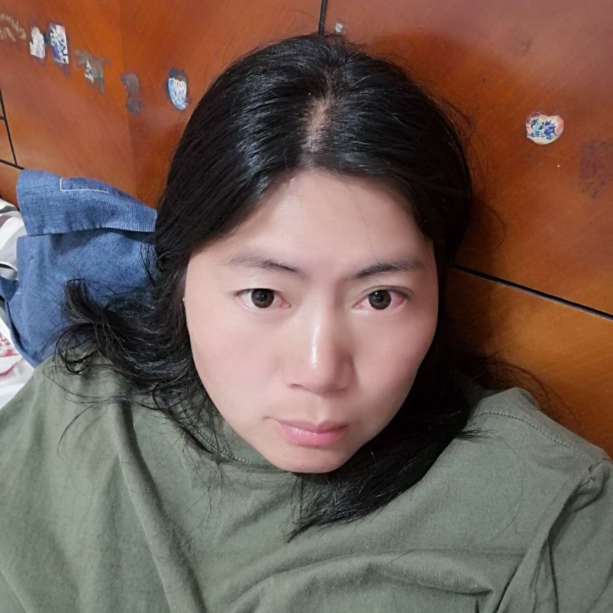 认真有海燕的照片