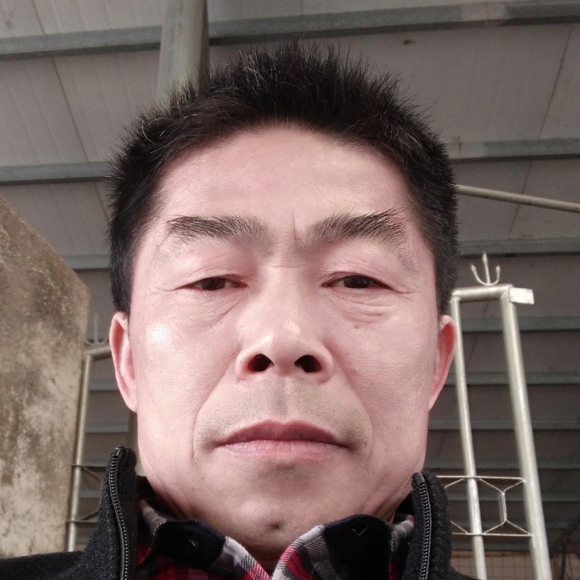 狗蹁跹忧心的照片