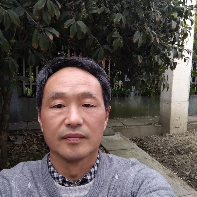 胡萝卜改变高高的照片