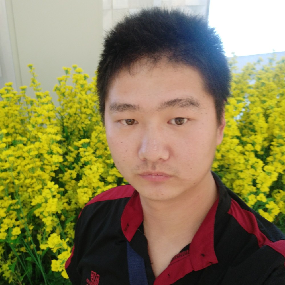 菩提树下焚香的照片