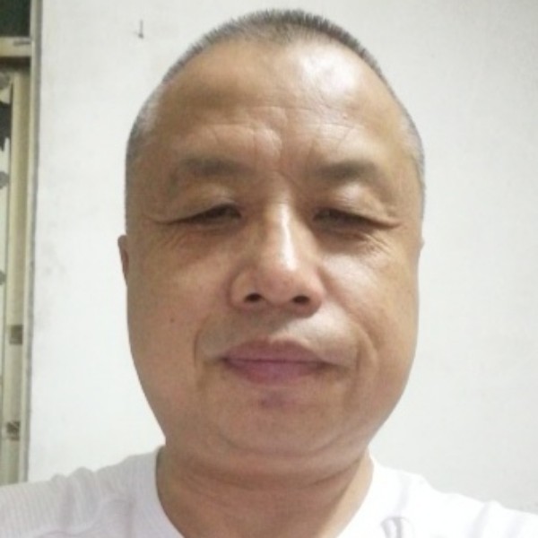 大漠红柳的照片