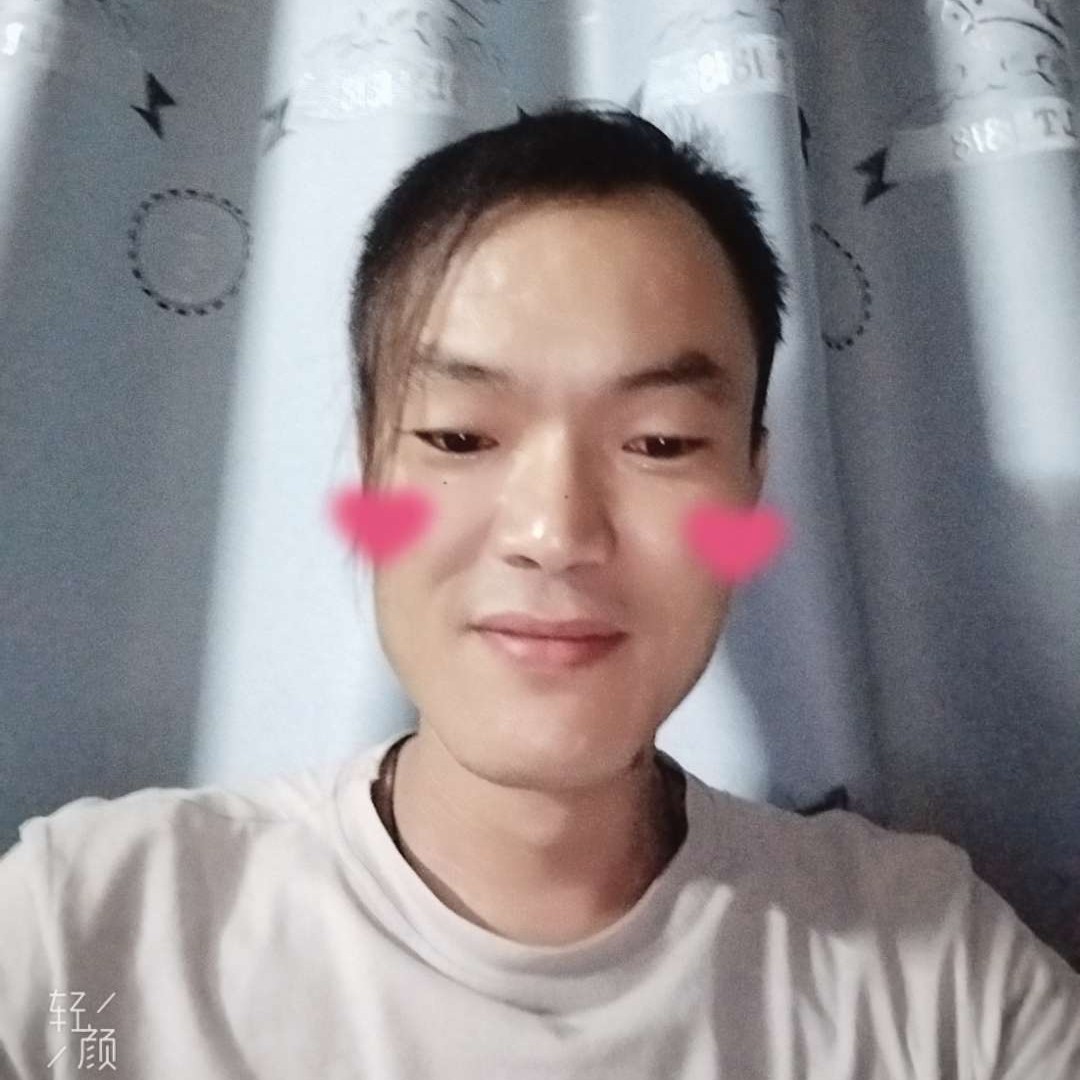 小蚂蚁迎动听的照片