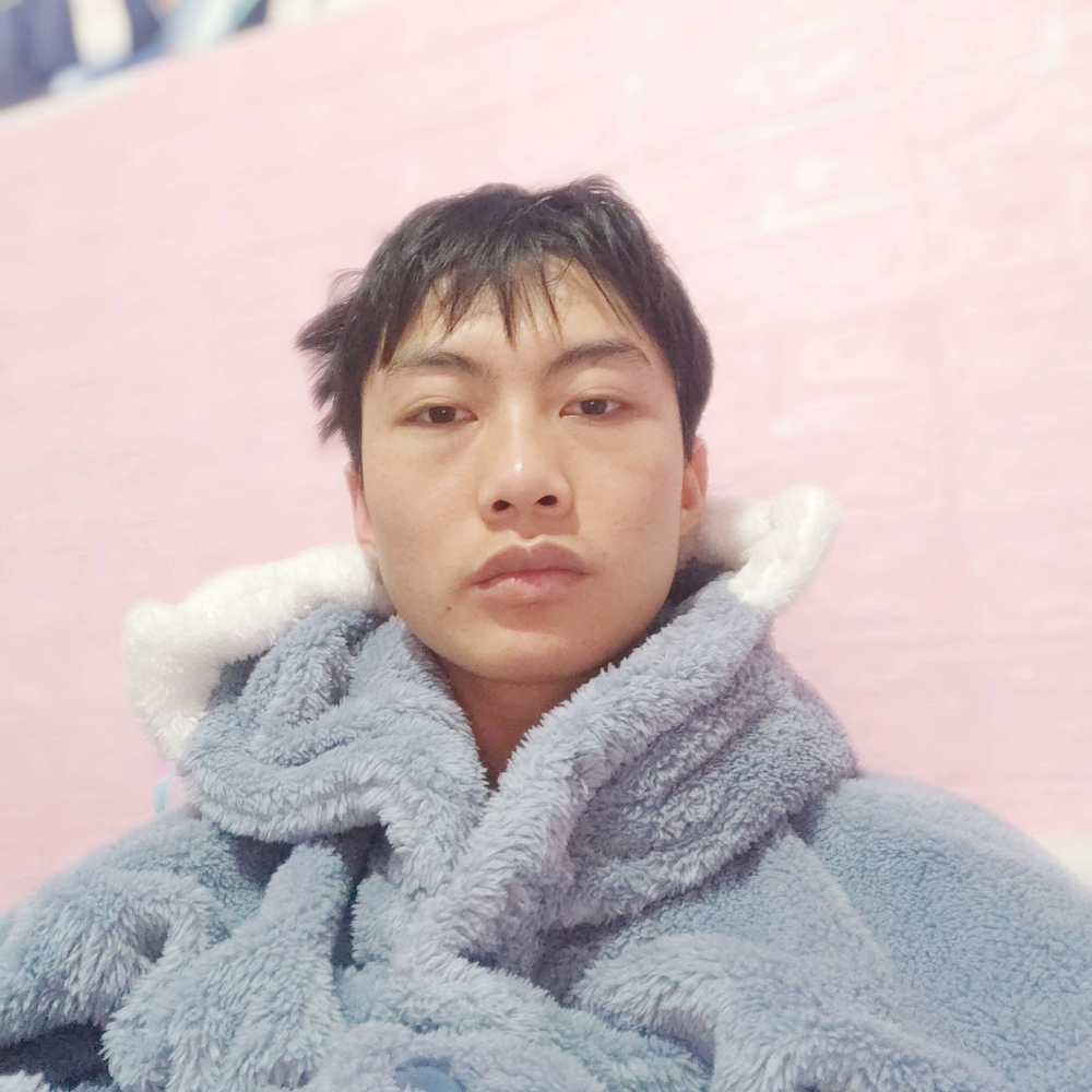 社畜的照片