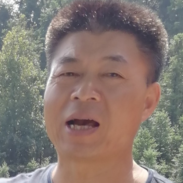 文艺和便当的照片