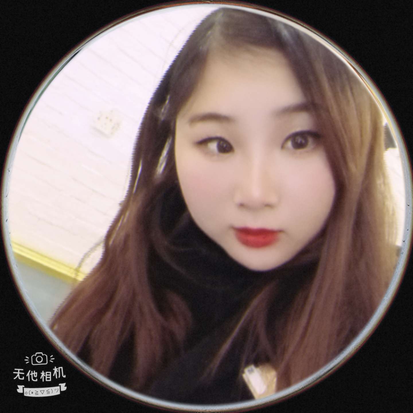 蓝莓蹙眉机灵的照片