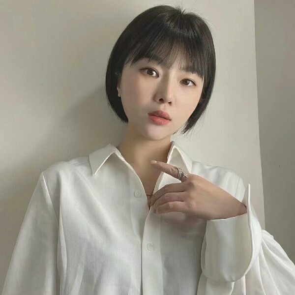 橙色向日葵的照片