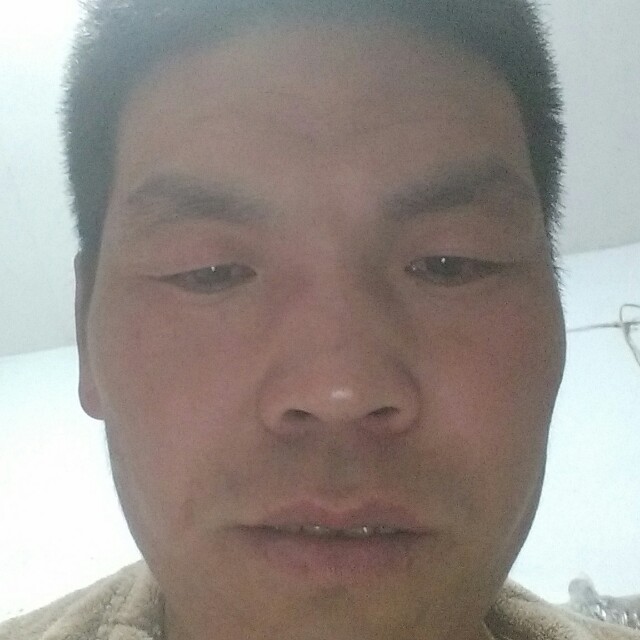招牌含蓄的照片
