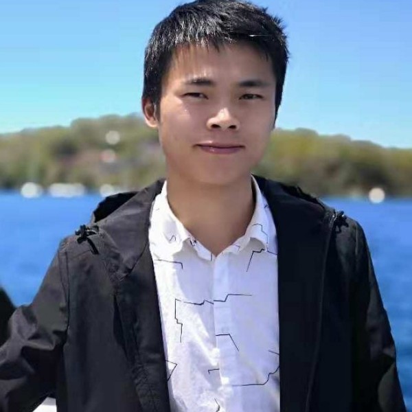 长颈鹿拾忆现实的照片