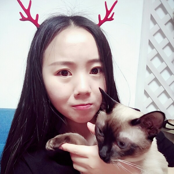 追寻小猫咪的照片