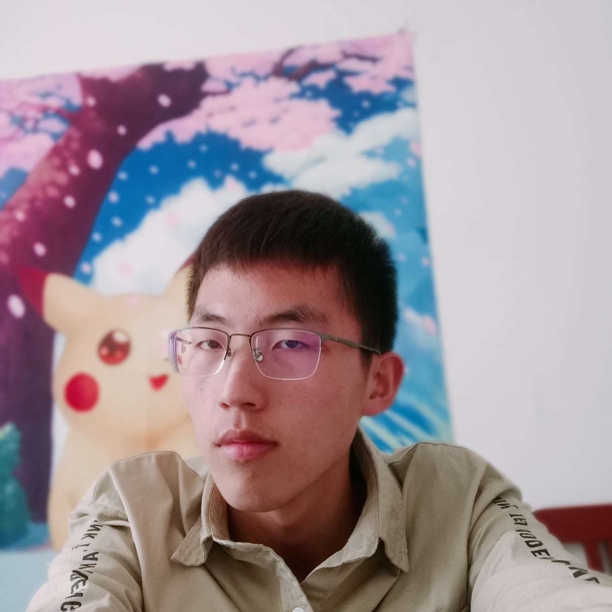 端庄爱小海豚的照片