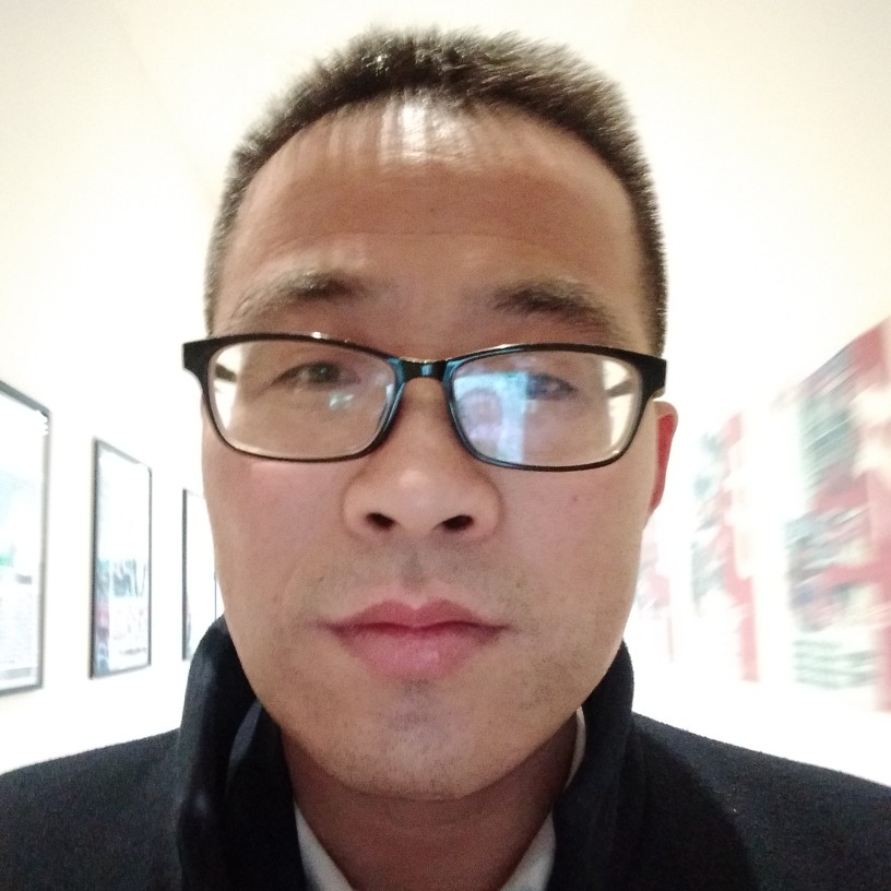 生动红玫瑰的照片
