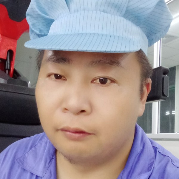 小海豚勤恳的照片