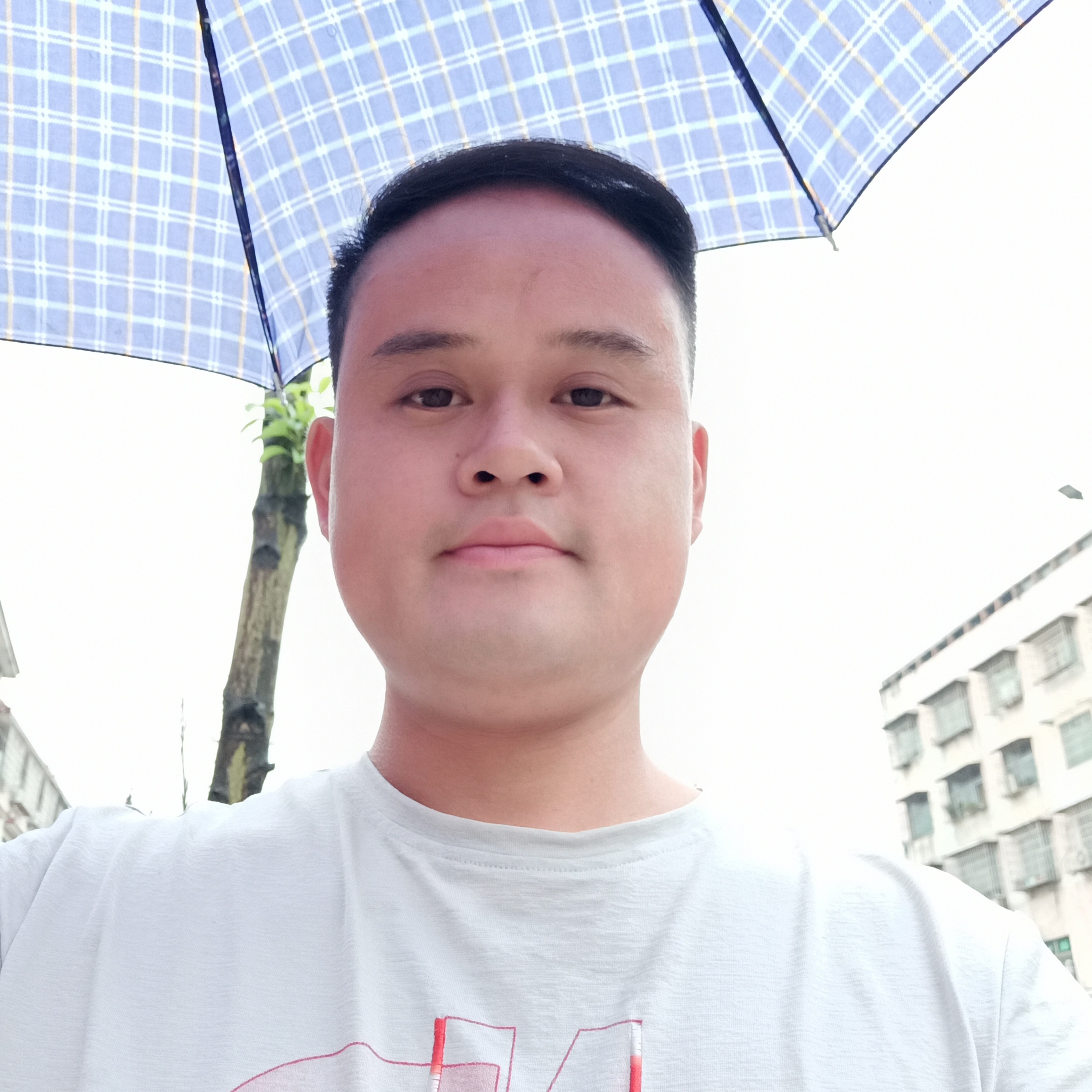 勤劳回眸大炮的照片