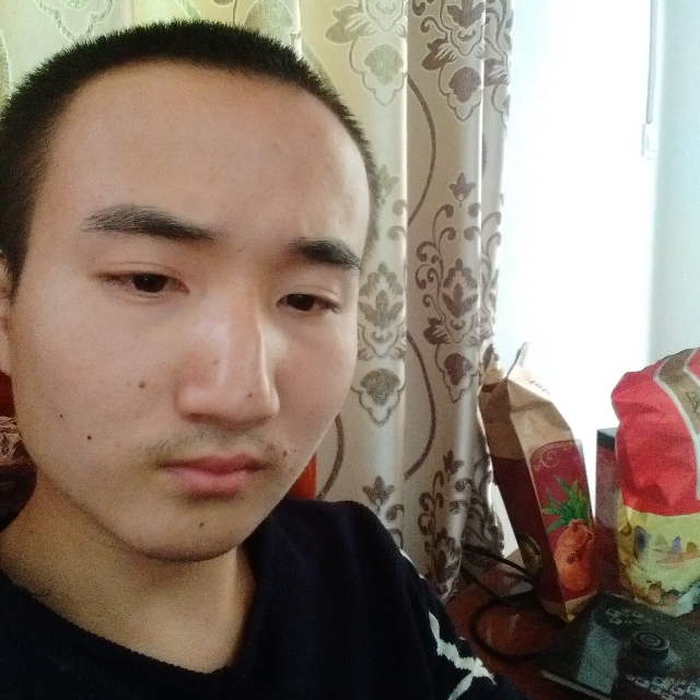 蜜蜂善良的照片