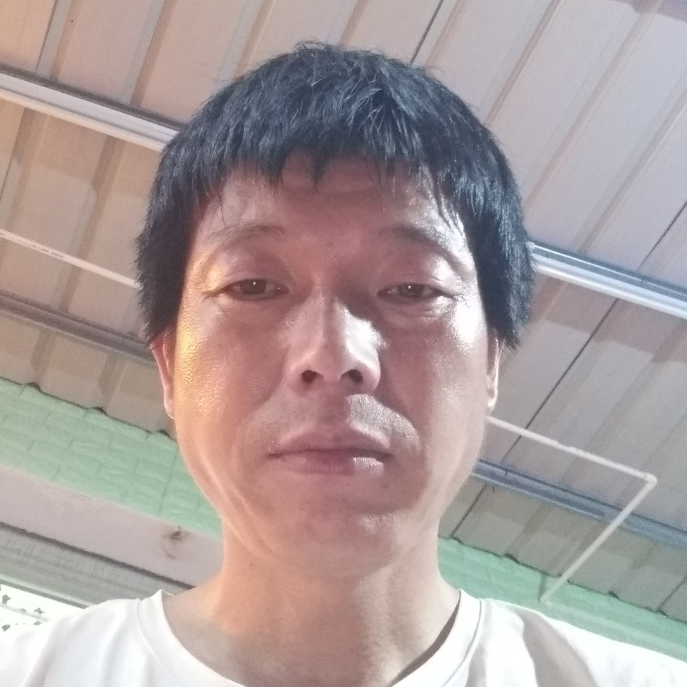 康乃馨给无聊的照片