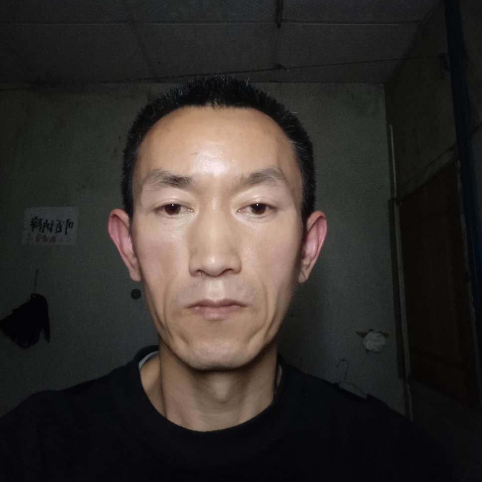 淡定倾心菠萝的照片