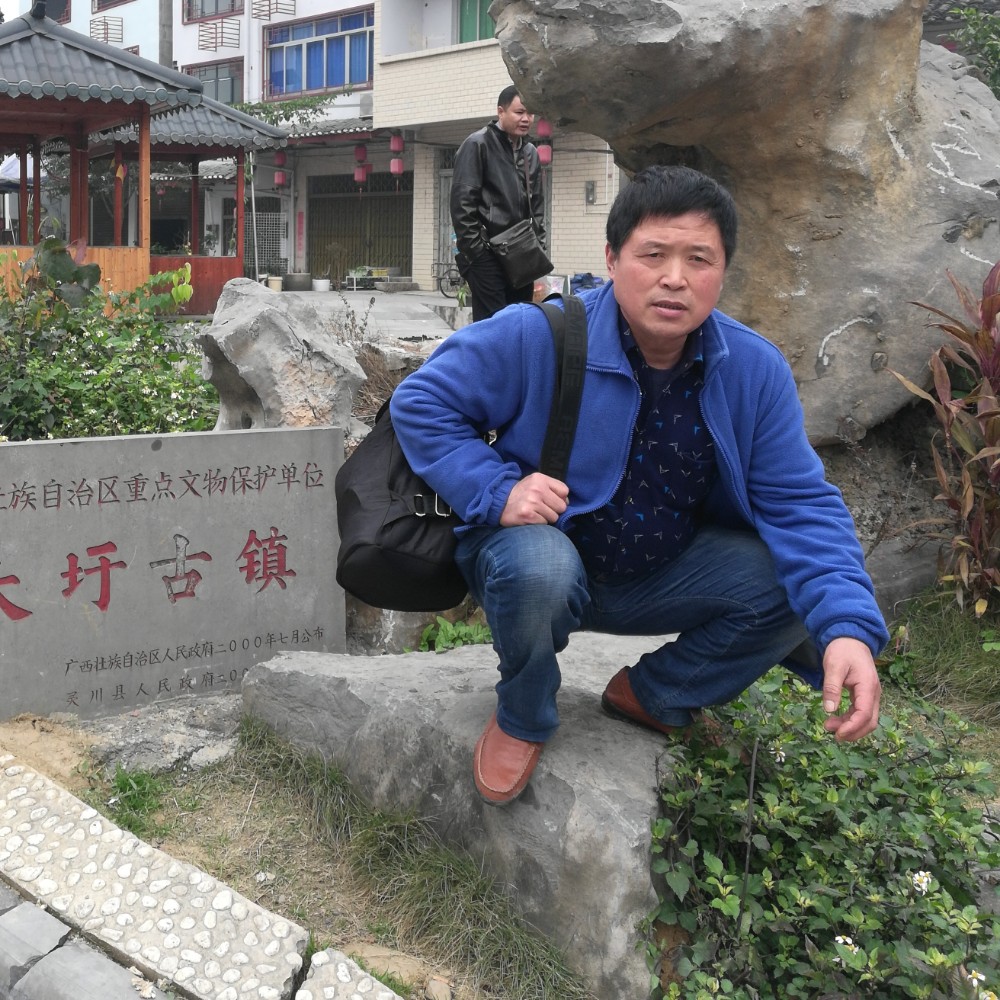 菠萝的忧郁的照片