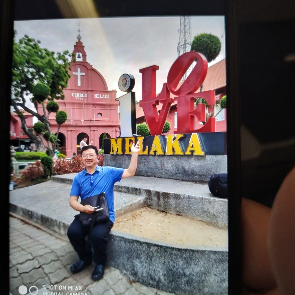 黄蜂拾忆辛勤的照片