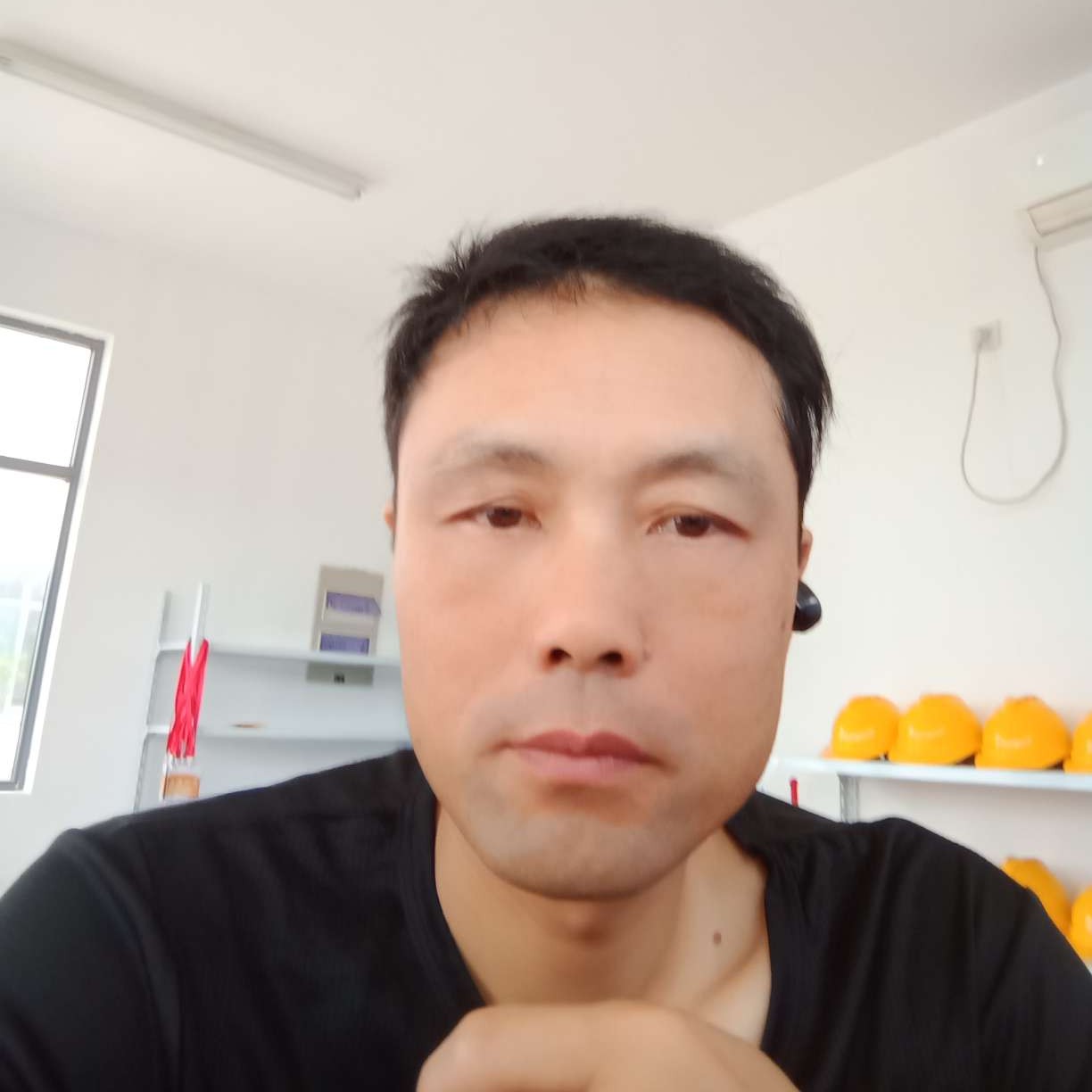 殷勤停止玫瑰的照片