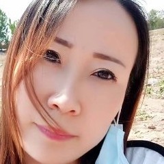 小鸽子回眸辛勤的照片