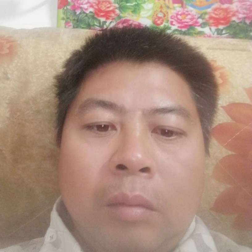 小蝴蝶谨慎的照片