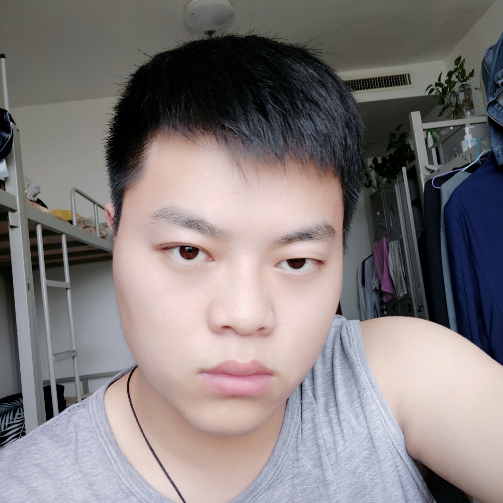 翩飞的过客的照片