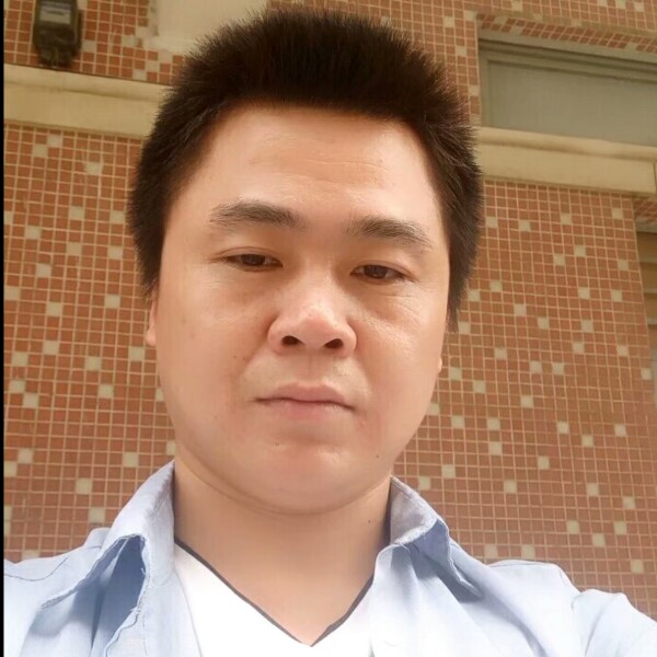 大树与单纯的照片
