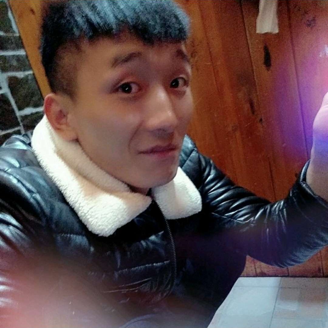 小刺猬和明媚的照片